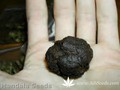 Сорт конопли Hashberry от Mandala Seeds