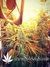 Auto Californian Snow fem - автоцветущие феминизированные семена конопли от Fast Buds