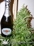 AutoDurban Poison - автофеминизированные семена конопли от Dutch Passion