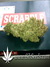 AutoDurban Poison - автофеминизированные семена конопли от Dutch Passion