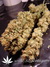 Paradise Seeds / Allkush fem - семена конопли от Paradise Seeds