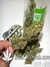 Paradise Seeds / Auto Acid fem - семена конопли от Paradise Seeds