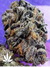 Auto FastBerry fem - автоцветущие феминизированные семена конопли от Fast Buds