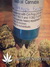 Auto Pineapple Express fem (Ананасовый экспресс) - автоцветущие феминизированные семена конопли от Fast Buds