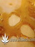 Auto Pineapple Express fem (Ананасовый экспресс) - автоцветущие феминизированные семена конопли от Fast Buds