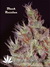 Black Russian fem - феминизированные семена конопли от Delicious Seeds