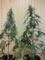 Cannatonic fem - феминизированные семена конопли от Resin Seeds