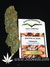 CBD Kush fem - семена конопли от Dutch Passion