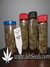 CBD SkunkHaze fem - семена конопли от Dutch Passion