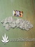 Cheese fem - семена конопли от Green House Seeds