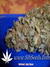 Critical Jack Herrer fem - феминизированные семена конопли от Delicious Seeds