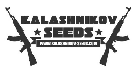 Kalashnikov Seeds