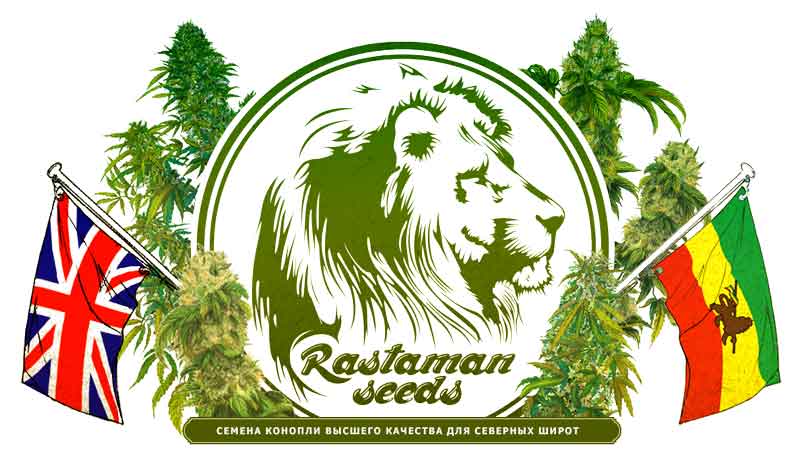 Rastaman Seeds