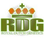 Royal Dutch Genetics