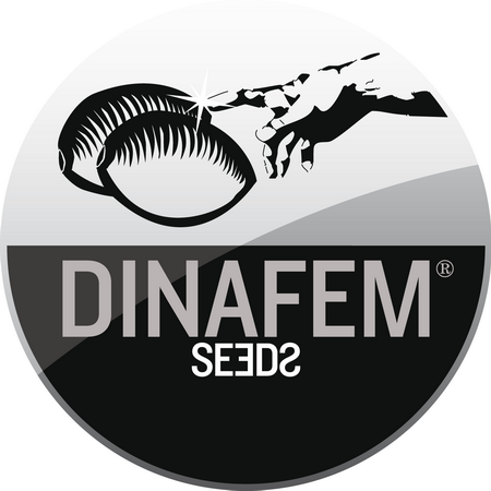 Dinafem Seeds