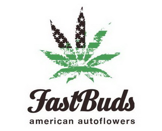 Fast Buds Company