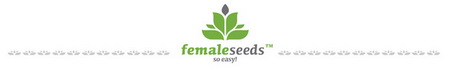 Феминизированные семена конопли от голландского сидбанка Female Seeds