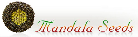 Mandala Seeds