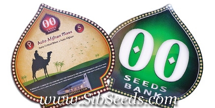 Семена конопли в оригинальной упаковке от 00 seeds