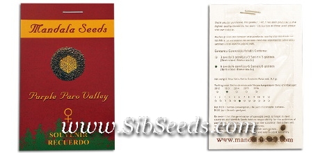 Семена конопли в оригинальной упаковке от Mandala Seeds