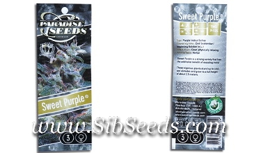 Семена конопли в оригинальной упаковке от Paradise Seeds