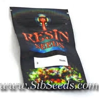 Семена конопли в оригинальной упаковке от Resin Seeds