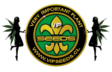 Vip Seeds