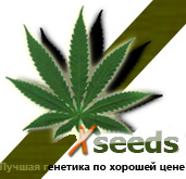 Xseeds
