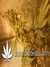 Paradise Seeds / Dutch Dragon - семена конопли от Paradise Seeds
