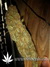 Auto Girl Scout Cookies fem - автоцветущие феминизированные семена конопли от Fast Buds