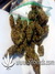 Auto Gorilla Glue fem - автоцветущие феминизированные семена конопли от Fast Buds