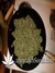 Auto Gorilla Glue fem - автоцветущие феминизированные семена конопли от Fast Buds