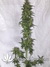 Auto Green Crack fem - автоцветущие феминизированные семена конопли от Fast Buds