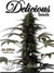 La Diva auto fem - автоцветущие феминизированные семена конопли от Delicious Seeds