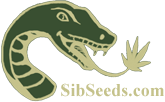 SibSeeds - заказать семена конопли почтой