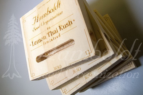 Оригинальная упаковка от Humboldt Seed Organization