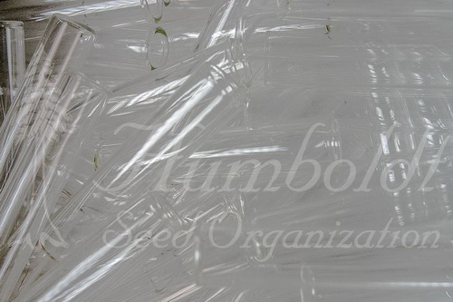 Оригинальная упаковка от Humboldt Seed Organization