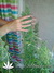 Skunk#11 fem - феминизированне семена конопли от Dutch Passion