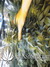Super Silver Haze fem - семена конопли от Green House Seeds