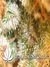 Super Silver Haze fem - семена конопли от Green House Seeds