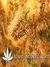 Super Silver Haze fem - семена конопли от Green House Seeds