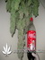 Super Silver Haze fem - семена конопли от Green House Seeds
