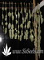 Super Silver Haze fem - семена конопли от Green House Seeds