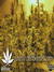 Vertigo auto fem - семена конопли от Paradise Seeds
