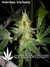 Wappa fem - феминизированные семена конопли от Paradise Seeds