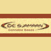 De Sjamaan